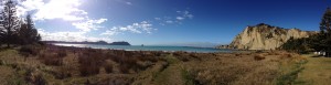Tolaga Bay-The Mount-Cooks Beach-004